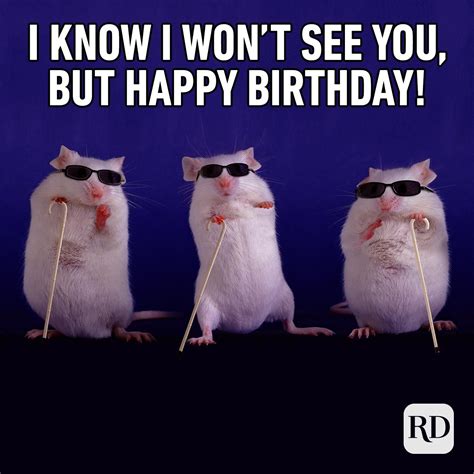 happy birthday images funny|hilarious birthday images.